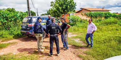operacao-policial-autua-criadores-de-animais-em-tres-cidades-do-piaui-42f725d2-b0f9-4cd1-9df6-e133e99f23fb.jpg