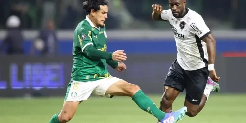 palmeiras-e-botafogo-jogam-hoje-por-lideranca-do-campeonato-brasileiro-f33f7050-b297-4e8d-8cb4-7010db53a8a0.jpg