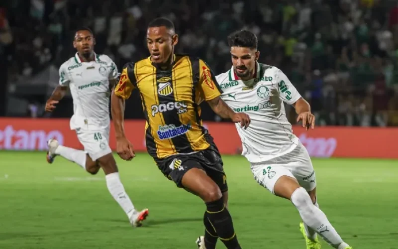 palmeiras-e-novorizontino--3307597ae1aedb83