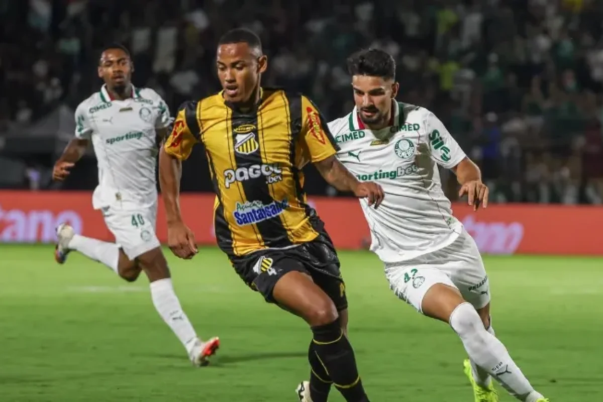 palmeiras-e-novorizontino--3307597ae1aedb83