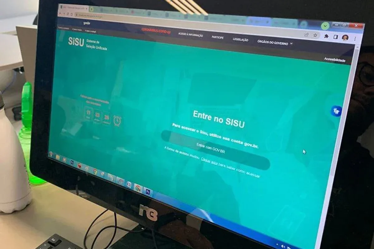 sisu