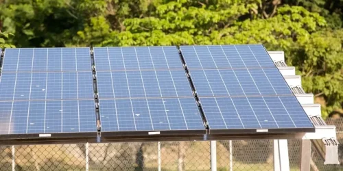 piaui-tem-mais-de-74-mil-conexoes-de-energia-solar-em-221-municipios-d1ba3b45-138e-49c8-90e4-b03508955531.jpg