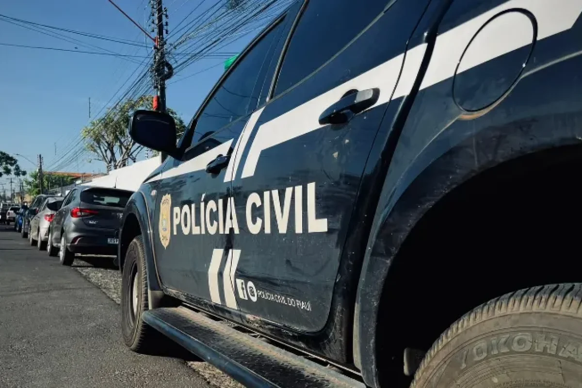 policia-civil-do-piaui--4119ecfb39369f7d