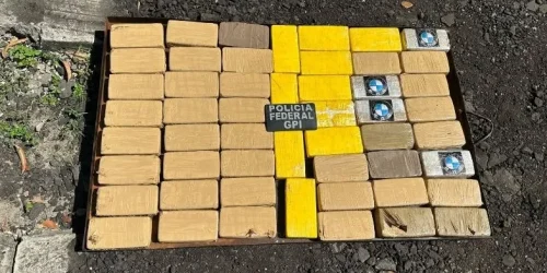 policia-federal-deflagra-operacao-e-apreende-mais-de-300-kg-de-drogas-no-piaui-f274b687-cf9f-4070-8031-feb1d53bdce9