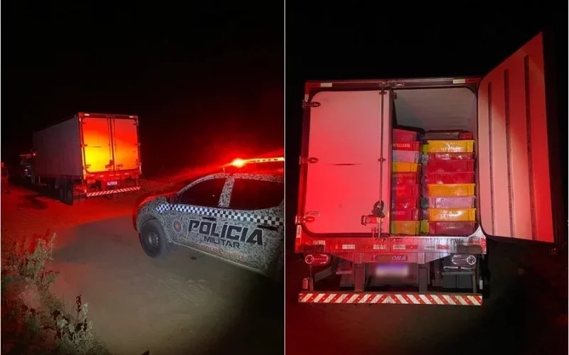 policia-militar-apreende-8-toneladas-de-peixes-transportados-ilegalmente-no-piaui-12e5f82c-8107-4258-a89f-10778b22422b.jpg
