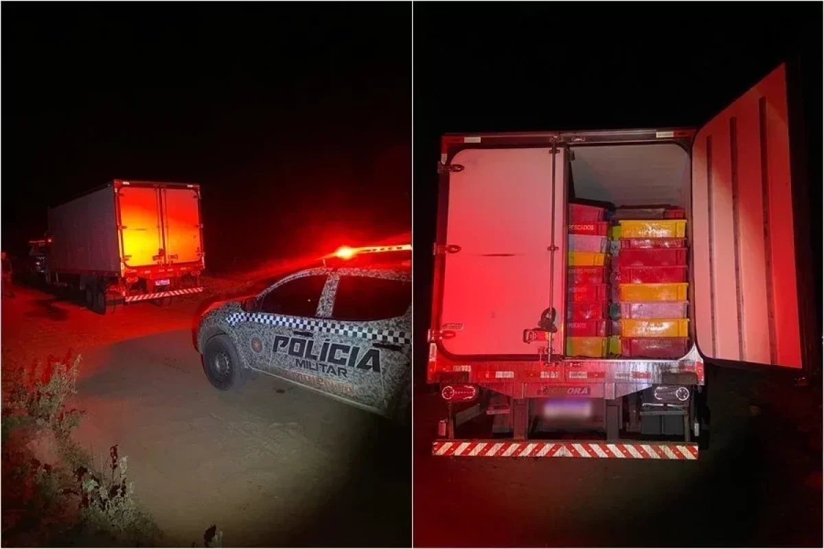 policia-militar-apreende-8-toneladas-de-peixes-transportados-ilegalmente-no-piaui-12e5f82c-8107-4258-a89f-10778b22422b.jpg