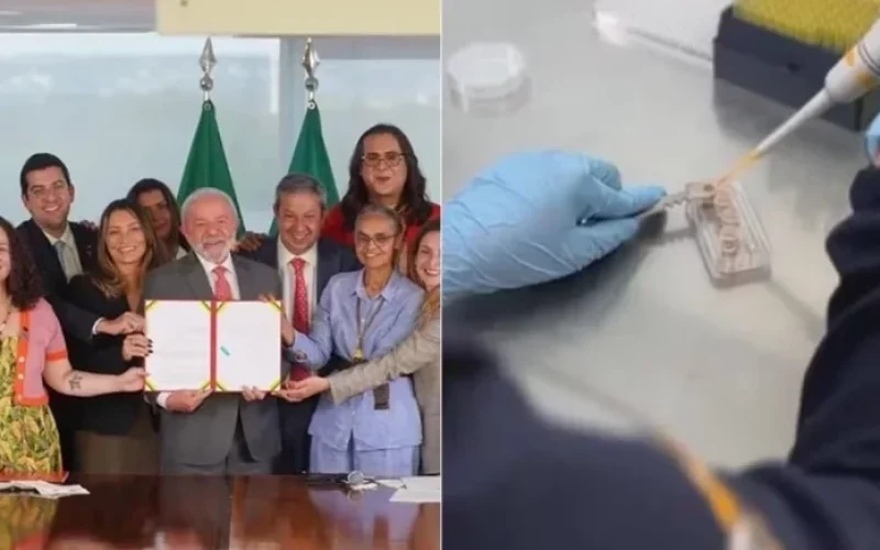 presidente-lula-sanciona-lei-que-proibe-uso-de-animais-em-testes-de-cosmeticos-58d76c3d-c623-4a09-9ba5-4d57570a8d6a.jpg