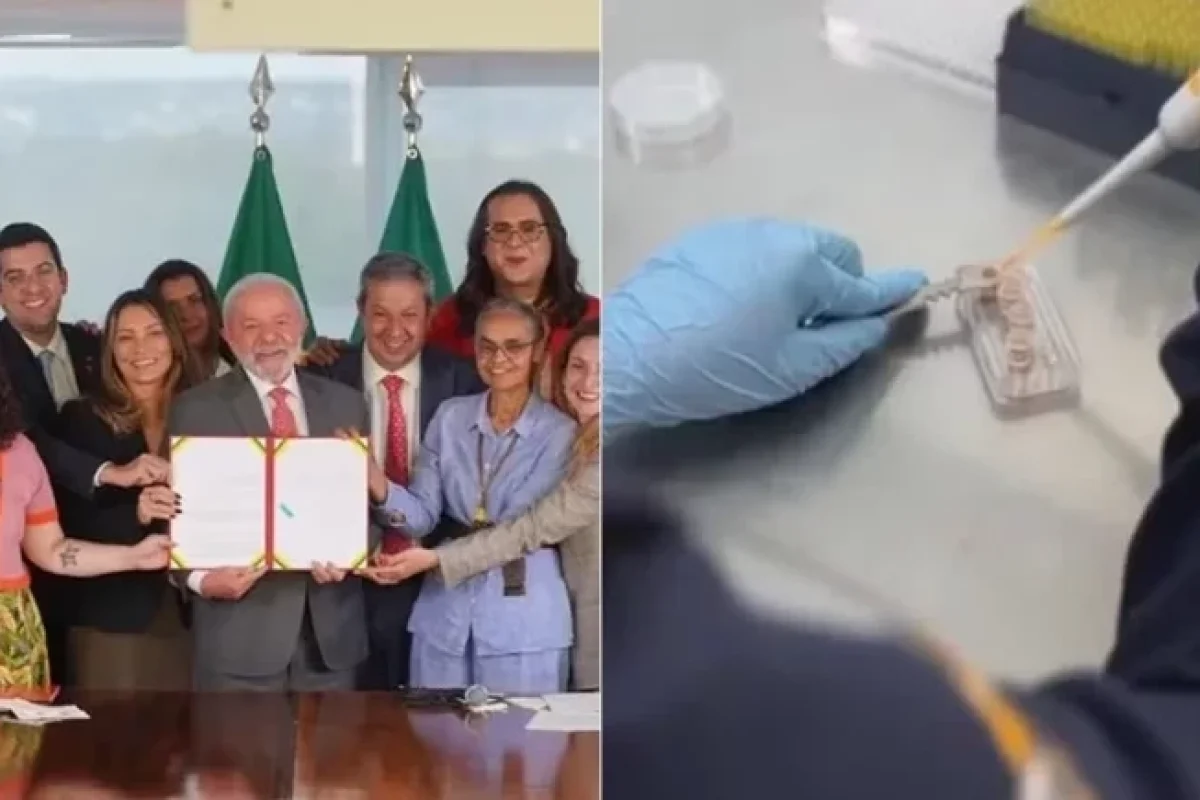 presidente-lula-sanciona-lei-que-proibe-uso-de-animais-em-testes-de-cosmeticos-58d76c3d-c623-4a09-9ba5-4d57570a8d6a.jpg