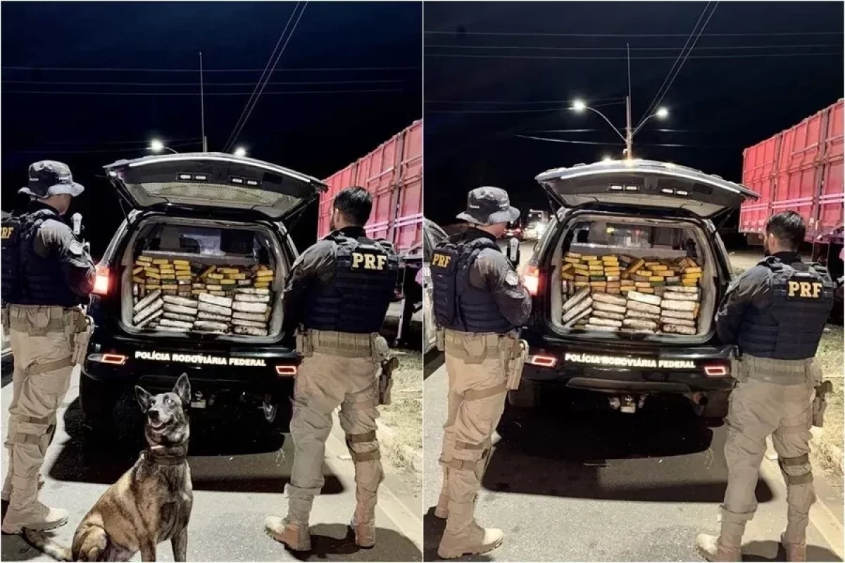 prf-apreende-210-kg-de-cocaina-e-20-kg-de-skunk-em-caminhao-na-br-316-em-picos-8fa5fbe8-c5d4-4bbb-a7a9-a3ecc9b228a1.jpg