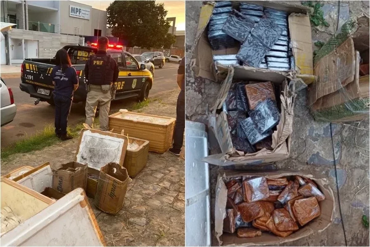 prf-apreende-300-kg-de-alimentos-improprios-para-consumo-em-picos-87a387bf-63ba-4953-ba42-82a15f3b347c.jpg