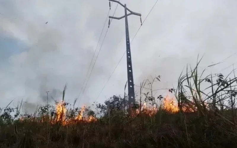 proibicao-de-queimadas-entra-em-vigor-no-piaui-por-dois-meses-descumprimento-pode-causar-prisao-e-multa-5edea779-77d7-46ff-b9ac-91955dbfa241.jpg