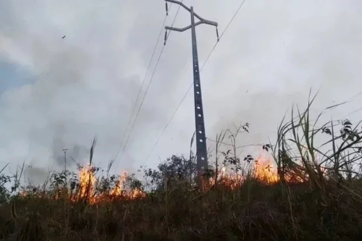proibicao-de-queimadas-entra-em-vigor-no-piaui-por-dois-meses-descumprimento-pode-causar-prisao-e-multa-5edea779-77d7-46ff-b9ac-91955dbfa241.jpg