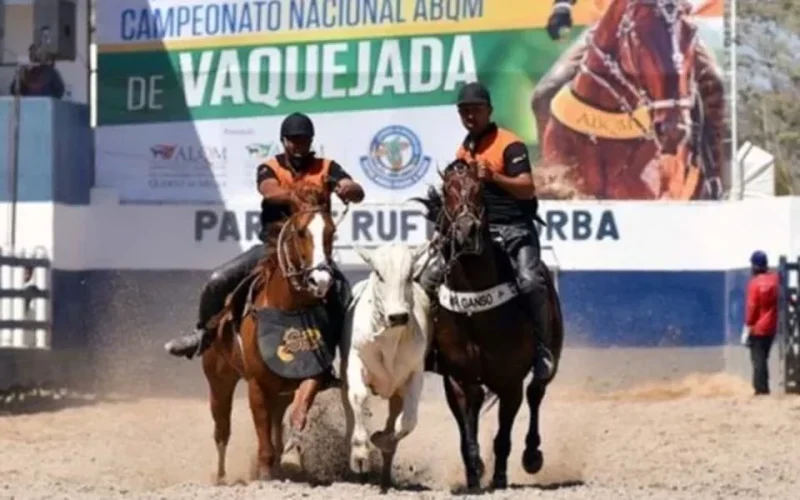 stf-confirma-emenda-constitucional-que-validou-a-pratica-da-vaquejada-f83196d2-0a5c-44ee-a4b1-3b6c728d8272.jpg
