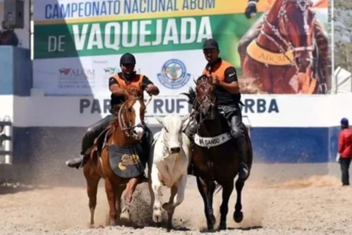 stf-confirma-emenda-constitucional-que-validou-a-pratica-da-vaquejada-f83196d2-0a5c-44ee-a4b1-3b6c728d8272.jpg