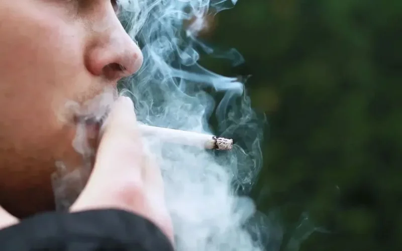 stf-volta-a-julgar-se-anvisa-pode-proibir-cigarros-com-sabor-no-brasil-eeb1647a-9a1a-47e4-bf44-44e4b0771e41
