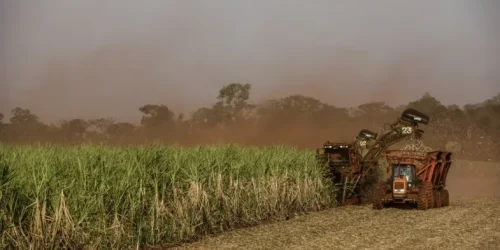 super-el-nino-pode-afetar-producao-de-alimentos-e-geracao-de-energia-no-brasil--bb38c440a1362fd6