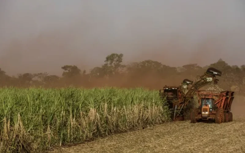 super-el-nino-pode-afetar-producao-de-alimentos-e-geracao-de-energia-no-brasil--bb38c440a1362fd6
