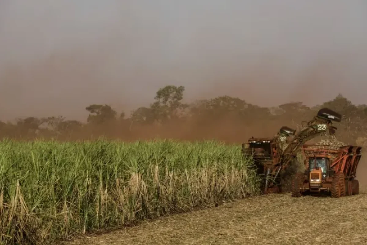 super-el-nino-pode-afetar-producao-de-alimentos-e-geracao-de-energia-no-brasil--bb38c440a1362fd6