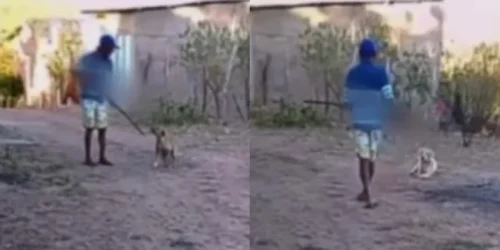 video-homem-atira-em-cachorro-e-causa-revolta-em-lagoinha-do-piaui-c151c27a-bc50-49e1-9845-a4dcefe445c7.jpg