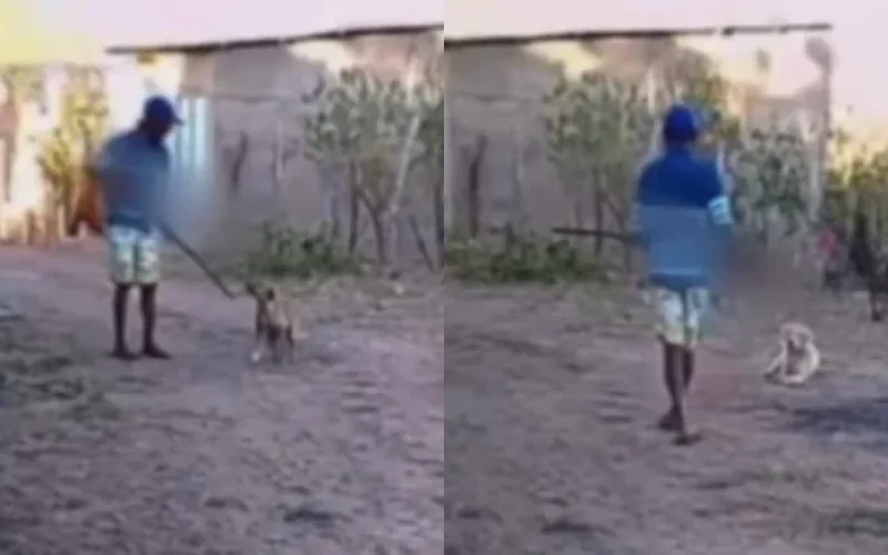 video-homem-atira-em-cachorro-e-causa-revolta-em-lagoinha-do-piaui-c151c27a-bc50-49e1-9845-a4dcefe445c7.jpg
