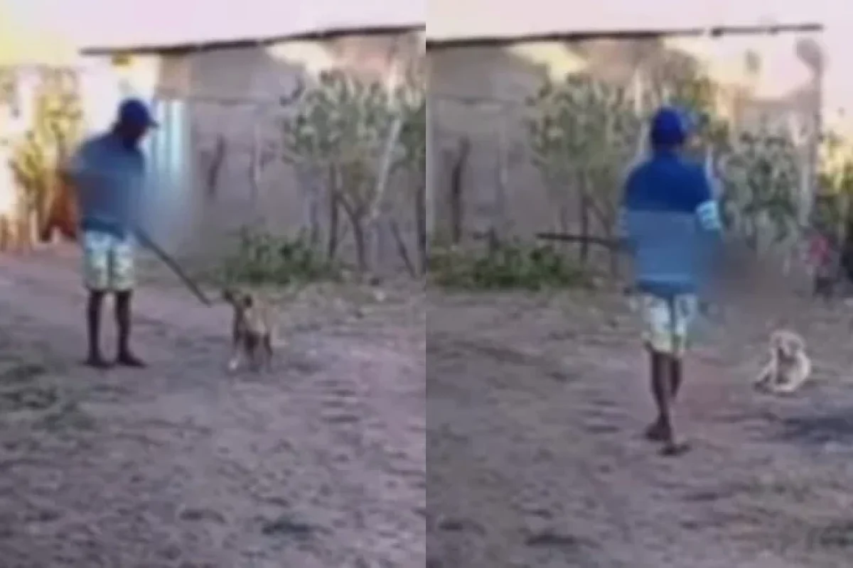 video-homem-atira-em-cachorro-e-causa-revolta-em-lagoinha-do-piaui-c151c27a-bc50-49e1-9845-a4dcefe445c7.jpg