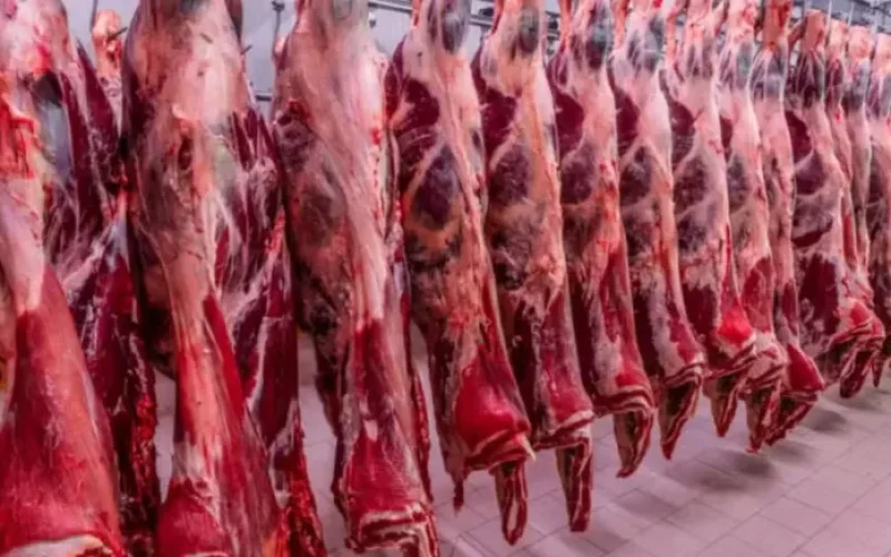 vietna-habilitou-frigorifico-de-ms-para-exportar-carne-bovina--7b9dc58e1eec6ff3