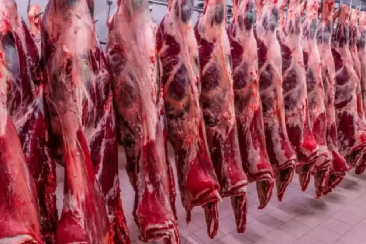 vietna-habilitou-frigorifico-de-ms-para-exportar-carne-bovina--7b9dc58e1eec6ff3