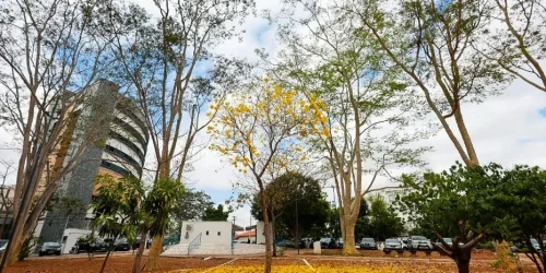 whatsapp_image_2026-09-03_at_10_11_41(1)